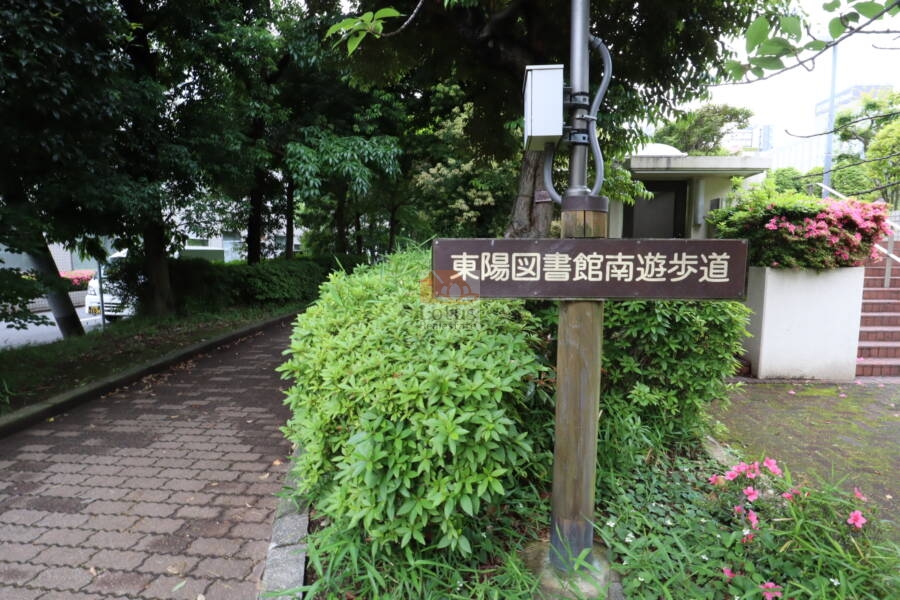 ファミリータウン東陽周辺1｜周辺の様子では、敷地への東側のアプローチは図書館南の遊歩道となっています。緑の並木になっていてキレイです。江東区道。