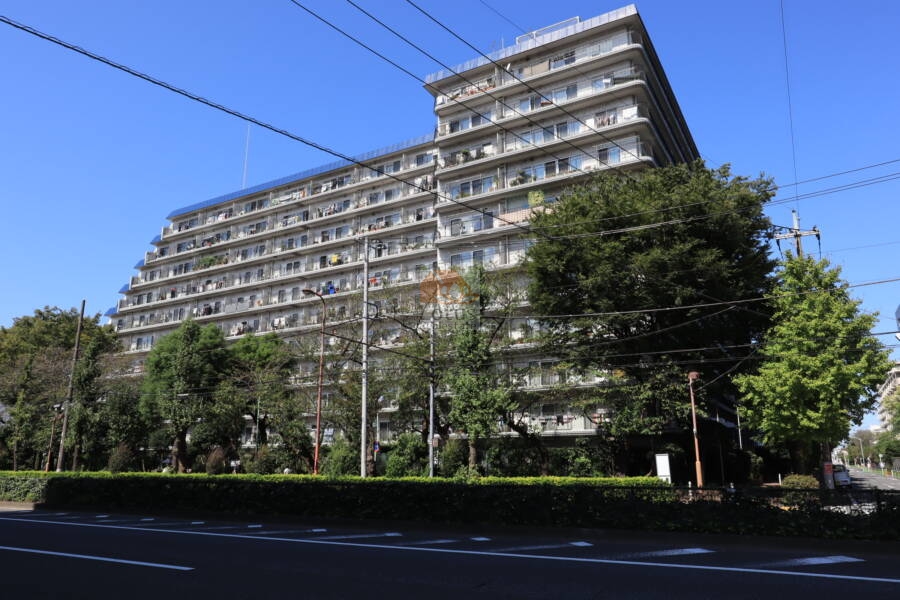 秀和蓮根レジデンス外観1｜秀和蓮根レジデンスは高島通り沿いにある大規模マンションです。蓮根駅より徒歩４分程なので、通勤・通学に便利な立地です。