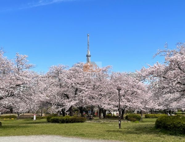 都立猿江恩賜公園