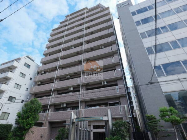 ライオンズマンション錦糸町親水公園第２外観３｜ライオンズマンション錦糸町親水公園第２は錦糸町駅から徒歩１０分圏内の住宅地にあります。