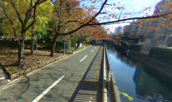 パークハイム東陽町-仙台堀川公園｜北側は仙台堀川公園に隣接しています。