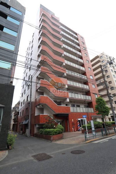 シャンボール菊川外観3｜北側は、新大橋通りに面していて、都営新宿線「菊川」駅から徒歩2分です。