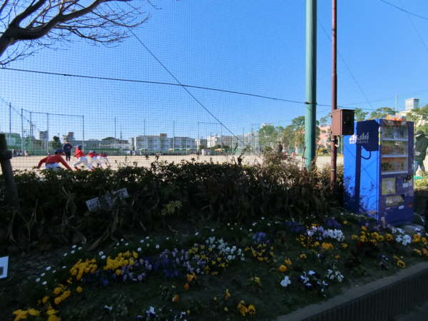 フリーデンハイム船堀アプローチ2｜コンビニと東小松川スポーツ公園を超えていきます。