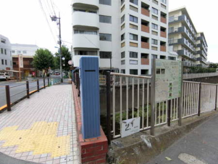 西荻窪駅の通り、北方向アプローチ2｜緩やかな傾斜が川まで続きます。善福寺川を渡るともう半分くらいです。