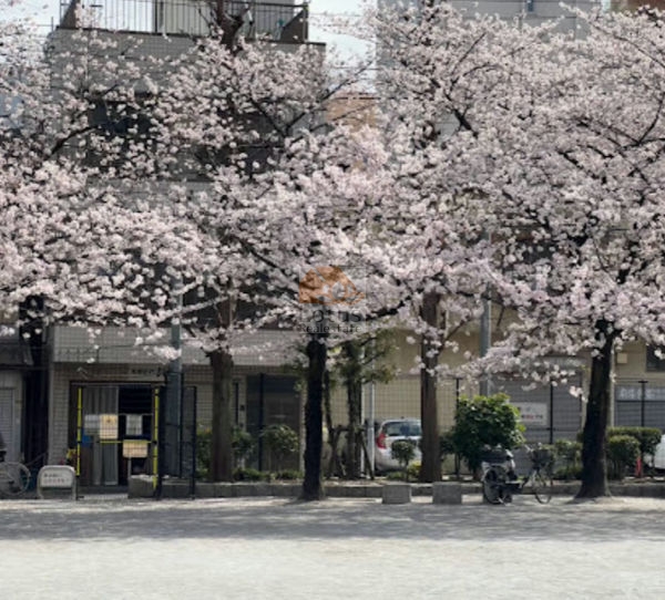 台東区立東盛公園