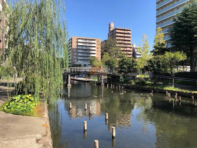 フジイチパークタワーズ外観４｜木場親水公園に面しています。