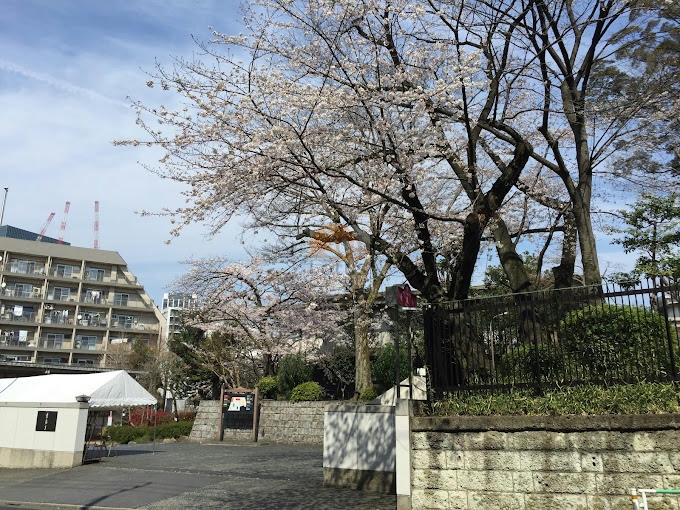 本門佛立宗 妙證山 乗泉寺｜南側には「乗泉寺」があるため、視界が開けています。