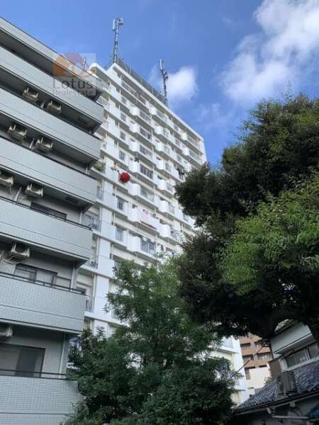 阿佐ヶ谷ダイヤモンドマンション外観３｜南側外観です。