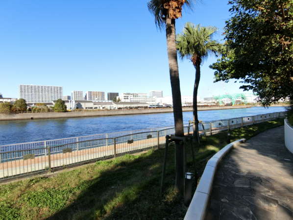豊洲運河｜建物の北西側は豊洲運河に面しており開放感があります。