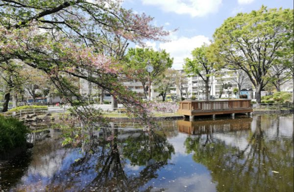 金町公園600｜徒歩1分に「金町公園」があります。