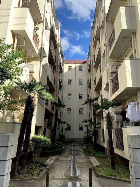 河田町ローヤルマンション外観５｜外観です。