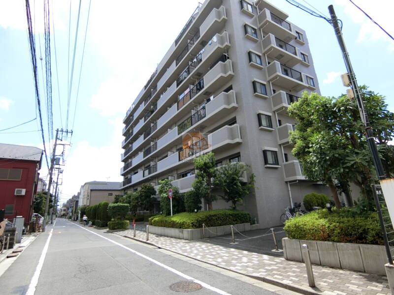 クレストコート北綾瀬 (4)｜クレストコートは加平１丁目の低層の住宅街に立地するマンションです。静かな住環境です。生活施設も充実しています。