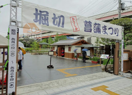 堀切菖蒲園まつり｜花しょうぶの見頃は6月上旬からで、例年「堀切菖蒲園まつり」を行っています。