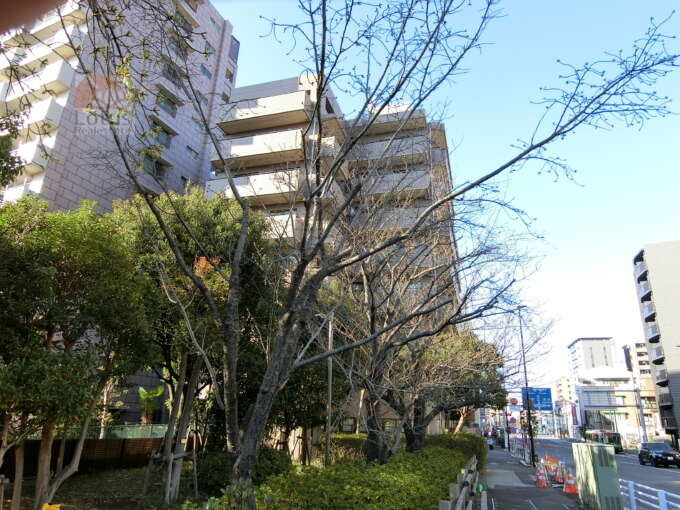 ナイスアーバン東陽町仙台堀川公園外観共用部2｜ナイスアーバン東陽町仙台堀川公園は仙台堀川公園に隣接したマンションです。