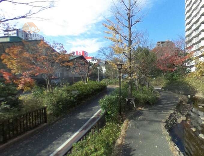 ナイスアーバン東陽町仙台堀川公園周辺３｜仙台堀川公園は延長3.7Kmある親水公園です。桜や紅葉など四季折々の風景が楽しめます。池や川もあります。