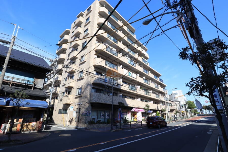 アルファホームズ立石外観1｜アルファホームズ立石は平成７年築、８階建てのマンションです。京成立石駅から近くて便利な立地です。