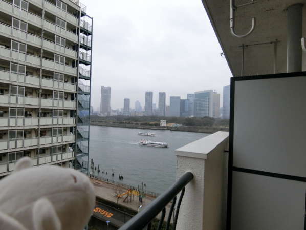 シャンボール第２築地眺望｜隅田川至近です。某室室内からの画像ですが、隅田川遊覧船その他の船のエンジン音が聞こえて、川辺を感じさせてくれます。