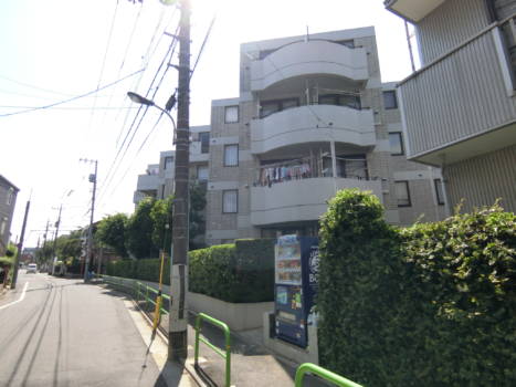 白っぽいグレー基調のタイル張りとコンクリートの打ちっぱなしでできた外観です。
