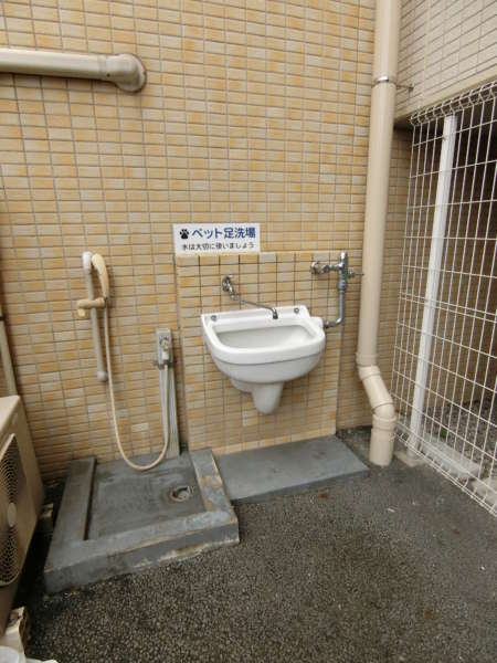 グローリオ錦糸町外観共用部13｜グローリオ錦糸町の共用部にはペットちゃんの足洗い場も設置されていました。