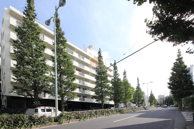 建物全体を斜め方向から撮影したもので、地上8階建の外観と道路沿いの高木が整然と並んでいる様子が写っています。前面道路は片側2車線の広さがあり、歩道と植栽帯が設けられています。パシフィック白金台は、昭和52年築、8階建てのマンションです。