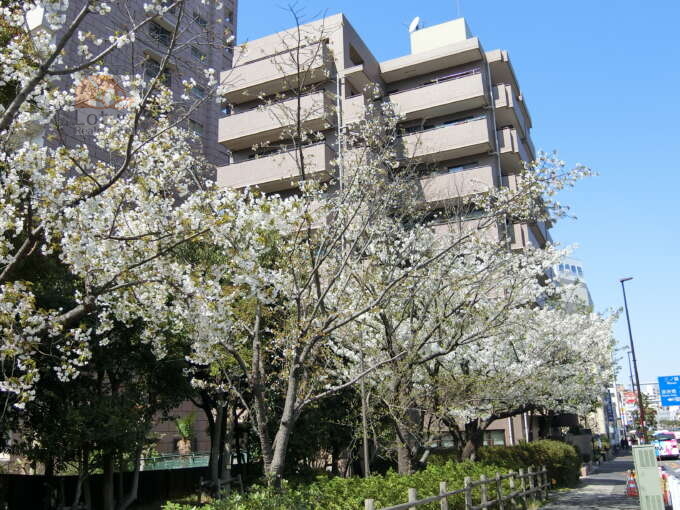 ナイスアーバン東陽町仙台堀川公園外観共用部8｜ナイスアーバン東陽町仙台堀川公園は平成４年築、８階建てのマンションです。