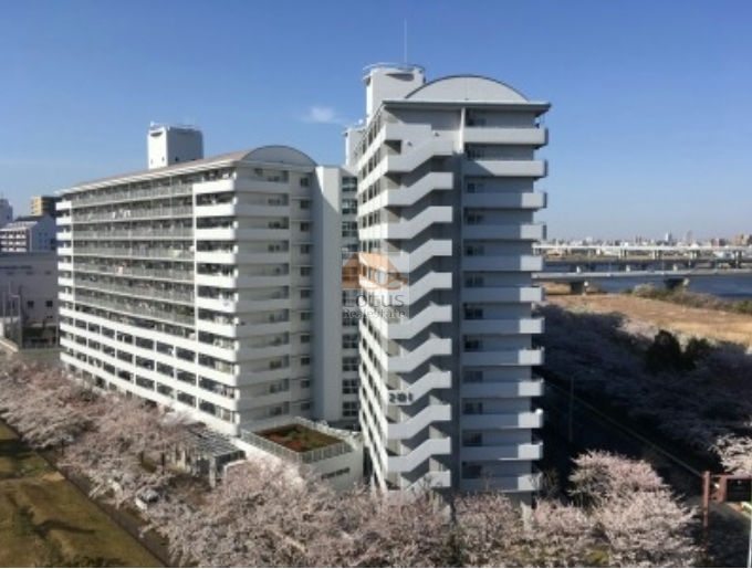さくらマンション小松川外観４｜さくらマンション小松川の周辺には、小松川千本桜をはじめ、桜並木が広がっています。建物は1997年（平成9年）に建てられた、13階建てです。
