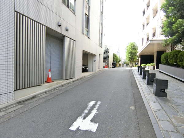 ザパークハウス新宿柏木外観共用部5｜路地の様子です。