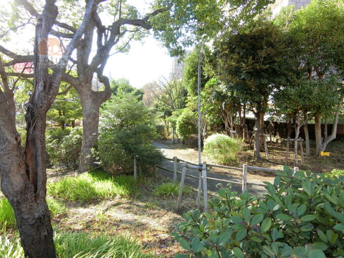 ナイスアーバン東陽町仙台堀川公園周辺4｜南側は仙台堀川公園に面しています。