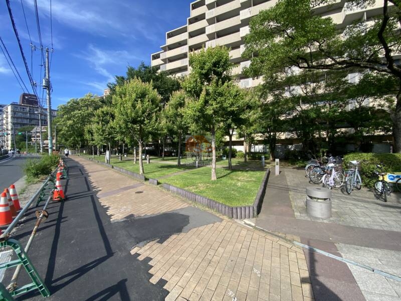 コスモ２１ザガーデンズフォート外観２｜沿道。建物を囲む街路樹が整備され、住まいと通りの間に心地よい緩衝をつくり出しています。