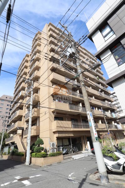 向島パークハイツ外観1｜向島パークハイツは1982年（昭和57年） 8月、11階建てのマンションです。隅田公園が近くにあります。東京スカツリーまで徒歩１０分圏内です。