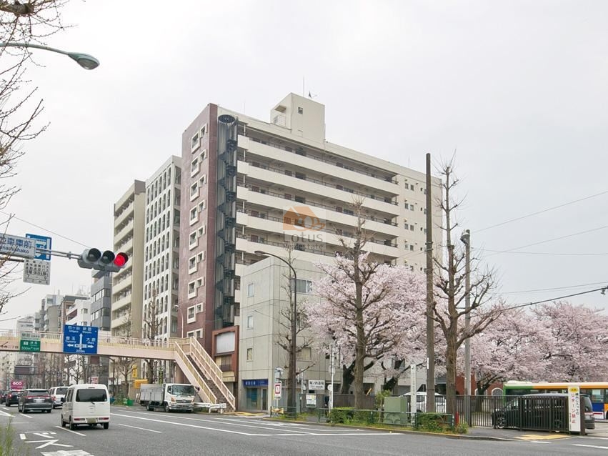 エントピア高円寺の外観。青梅街道沿いに建つ11階建ての堂々とした外観が特徴。道路沿いには桜並木が広がり、春には美しい景観が楽しめる。交差点や歩道橋も近く、視認性と利便性に優れた立地。エントピア高円寺は、昭和48年築、11階建てのマンションです。