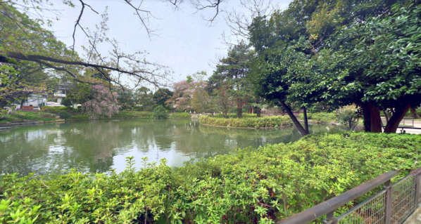 ルミナス下井草-妙正寺公園｜徒歩5分圏内には池がある妙正寺公園があります。