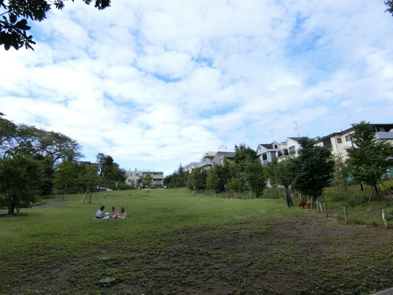 おとめ山公園