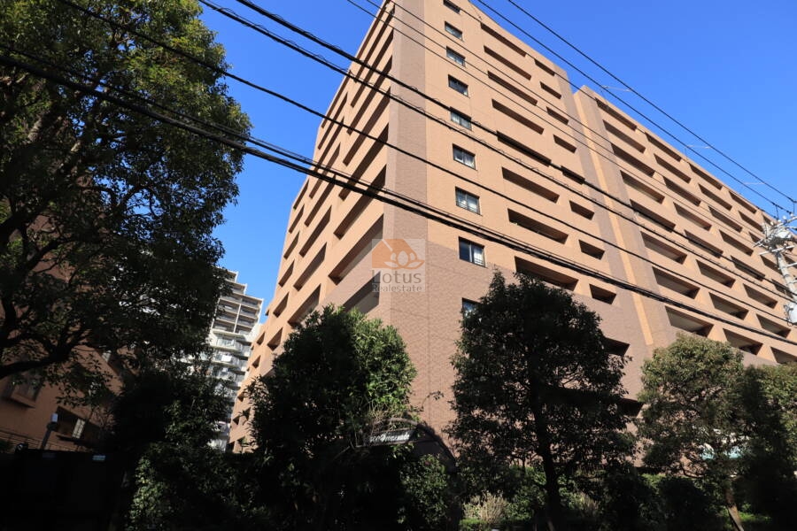 ライオンズプラザ西葛西外観3｜イオン葛西店に隣接していて便利です。西葛西小学校も目の前にあります。