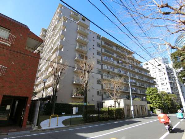 総戸数197戸のスケールを感じさせるボリューム感がありつつ、ベージュ系の外壁で視覚的な圧迫を抑えた外観構成です。敷地に沿って建物が折れ曲がる配置のため、通りからの距離が自然に確保され、車の走行音も直接響きにくい設計。三井不動産旧分譲らしく、日常の使いやすさを優先した実務的な造形といえます。