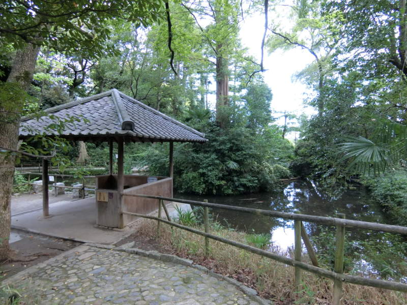 おとめ山公園 (2)