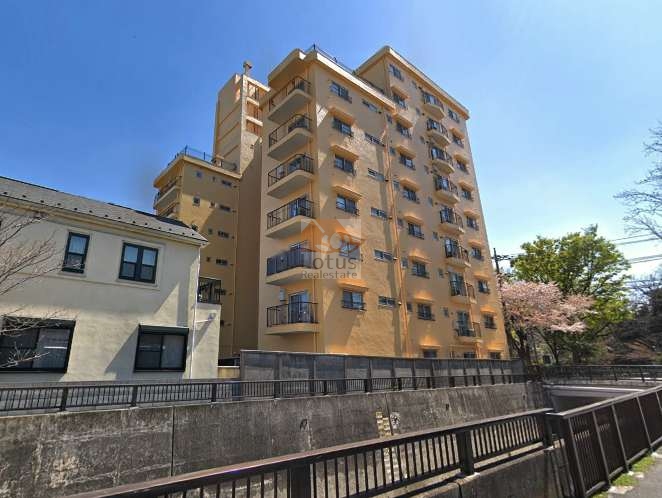 日商岩井哲学堂マンションの外観。川沿いに建つマンションの姿が映っており、淡い黄色の外壁が青空に映えています。周囲には桜の木が見え、春には花が咲く様子を感じられます。日商岩井哲学堂マンションは、昭和47年築、９階建て、江古田公園前にあります。哲学堂公園も徒歩5分ほどです。