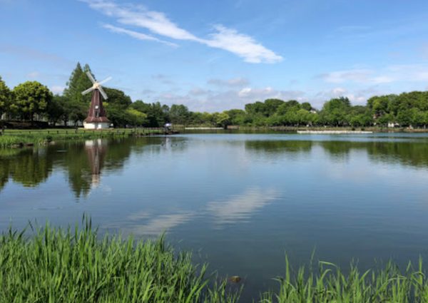 東京都立浮間公園600｜徒歩1分に「東京都立浮間公園」があります。