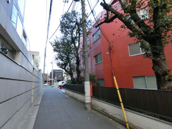 サニーハウスさぎの宮外観・共用部6｜エントランスは一本路地に入る形になっていて、木々もも並び静かな住宅のロケーションとなっています。