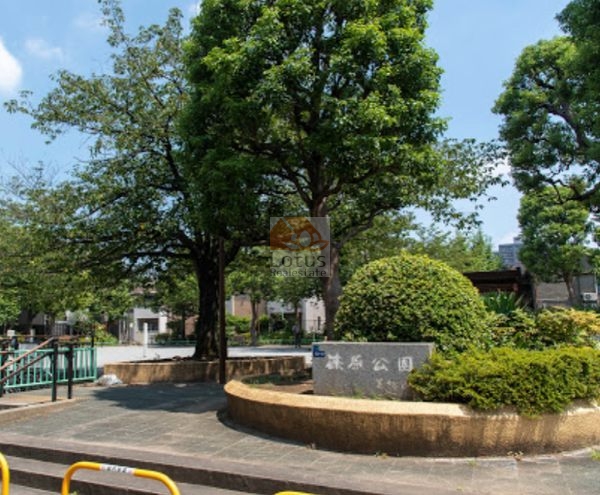 篠原公園｜徒歩1分に「篠原公園」があります。