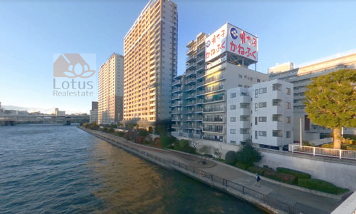 新大橋マンション外観２｜隅田川に面した立地です。