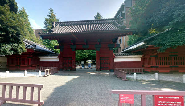 赤門アビタシオン-東大赤門｜東大赤門まで徒歩５分圏内です。