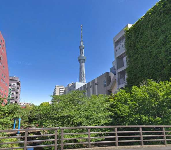 ライオンズマンション錦糸町親水公園周辺｜大横川親水公園が近く緑に恵まれた住環境です。公園を歩きながらスカイツリーまでお散歩もできます。