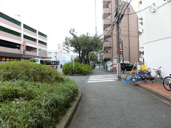 中村橋シティハウスアプローチ（練馬）2｜千川通りは歩道がしっかりと整備されて植栽も多い通りです。