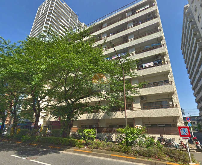 千川通りからオリエンタルグリーンコーポラスを見上げます。白系の外壁、前面には並木と植栽帯、歩道、街灯が写り、背後に高層マンションが見えます。オリエンタルグリーンコーポラスは、昭和44年築、8階建てのマンションです。