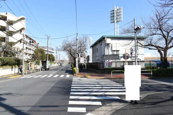 西が丘サニーハイツアプローチ6｜並木道との交差点に出ますので、ここを右です。右に見える照明施設がすでに味の素フィールド西が丘（国立西が丘サッカー場）です。