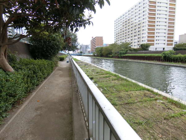 亀戸天神リリエンハイムアプローチ6｜横十間川はテラスを散歩することができます。撮影した日も穏やかな様子でした。