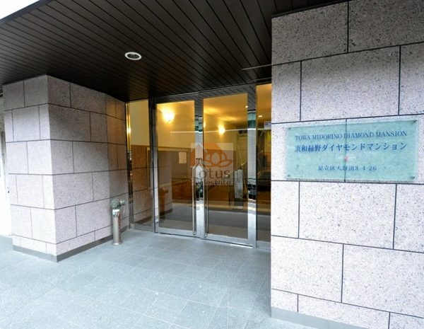 東和緑野ダイヤモンドマンションエントランス１｜環七通りに面した立地です。