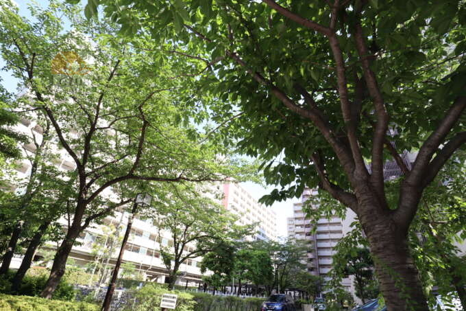 メトロハイツ東陽外観2｜西棟と外観