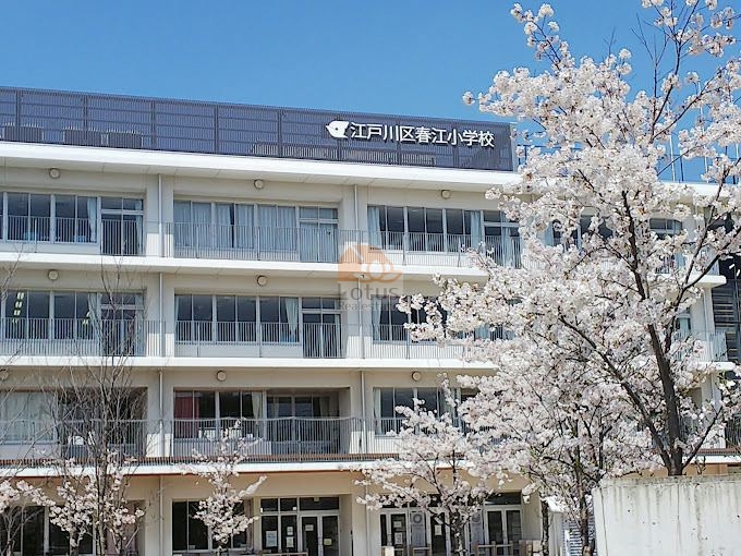 江戸川区立春江小学校｜目の前に「江戸川区立春江小学校」が有ります。